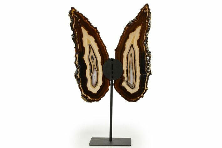 Agate Butterfly Wings - Brazil #322228